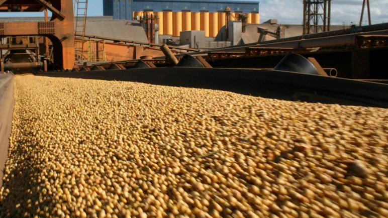 En el mes de Setiembre el agro sumo otro récord, liquido divisas por UsS 7.100 millones